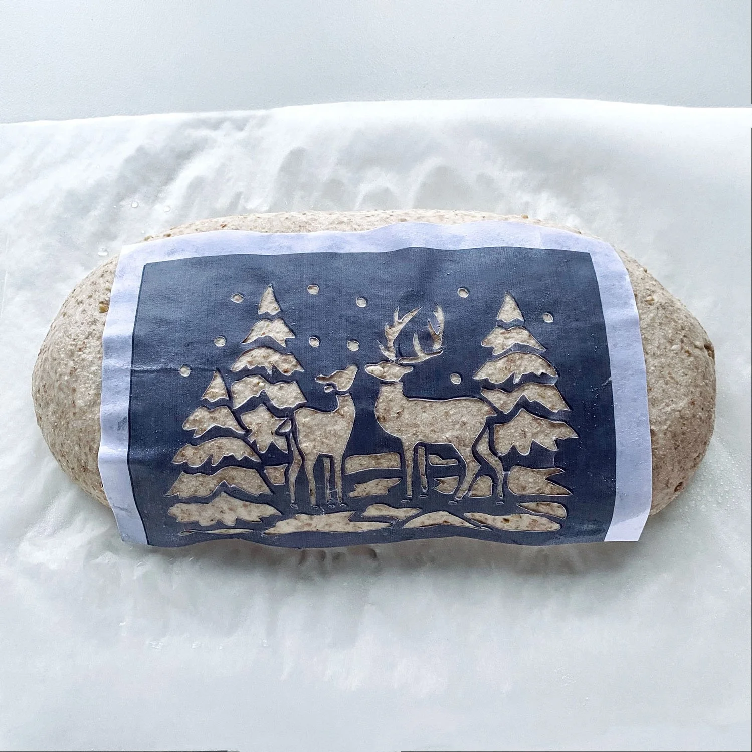 Bread Art 25 — SOURDOUGH FEVER